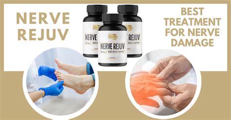 What Are The Ingredients of Nerve Rejuv?