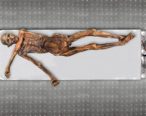 Unlocking the Iceman: Advanced Genetic Analysis of “Ötzi” Reveals Surprising Ancestral Roots and ...