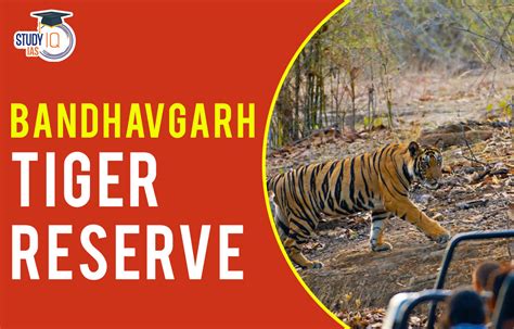 Bandhavgarh Tiger Reserve Map, Flora, Fauna, Significance