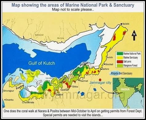 Stunning Marine National Park At Narara, Jamnagar - Inditales