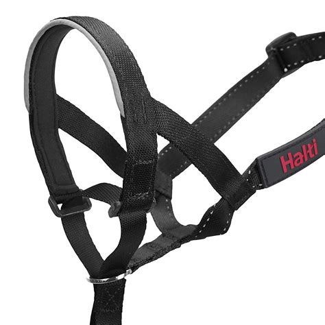 The Company of Animals HALTI Headcollar, Black, 3-Size, Model Number: 13200, Size 3 (Pack of 1 ...