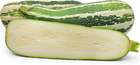 Marrow Squash Information and Facts