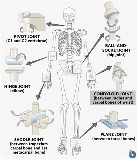 Mechanical Pivot Joint Examples