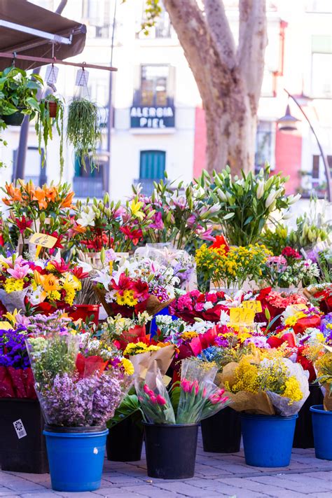 Fresh Flowers in Palm Desert, CA | Palm Springs Flower Mart