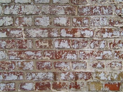 Free picture: painted, red, brick, wall