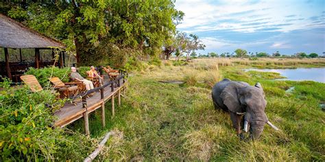 Luxury Safari Lodges & Camps in Botswana | Yellow Zebra Safaris