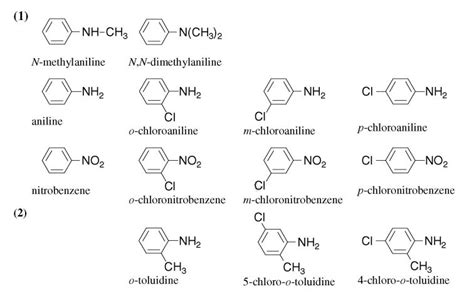 Monocyclic aromatic amino and nitro compounds [MAK Value Documentation ...