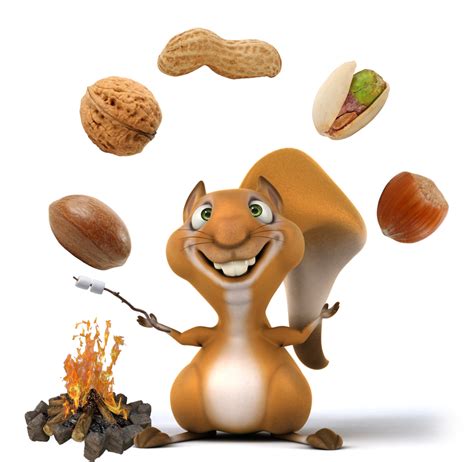 Nuts clipart mixed nut, Nuts mixed nut Transparent FREE for download on ...