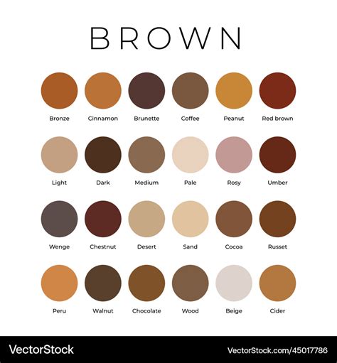 Brown Color Shades Swatches Palette With Names Vector Image