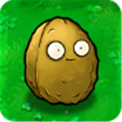 Image - Aaaaa.walnut.png - Plants vs. Zombies Character Creator Wiki, your own Plants vs. Zombies