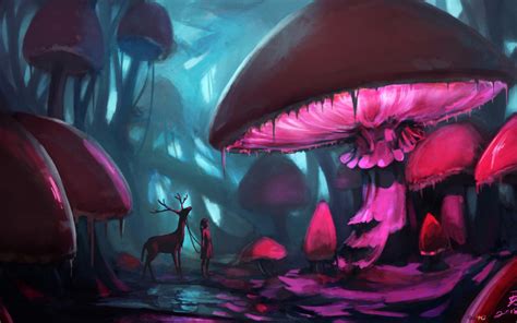 Mushroom Forest HD wallpaper download