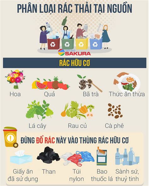 Rác hữu cơ là gì? Phân loại và hướng xử lý rác hiệu quả