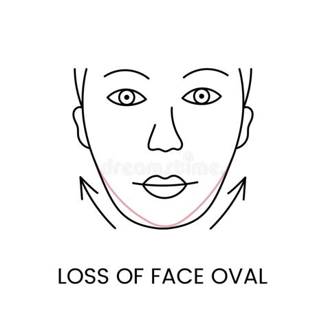 Loss of Facial Contours Line Icon in Vector, Illustration of Age-related Changes in the Shape of ...