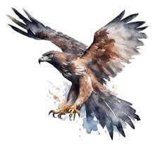 Golden Eagle, Watercolor, Painting Free Stock Photo - Public Domain ...