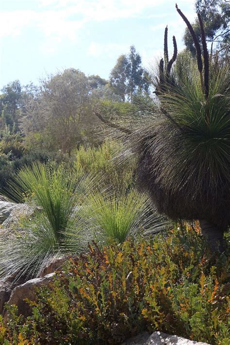 National Botanic Gardens Canberra – Beautiful Flower Arrangements and ...