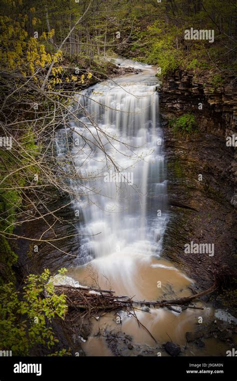 Swazye Falls in Ridgeville, Ontario in spring Stock Photo - Alamy