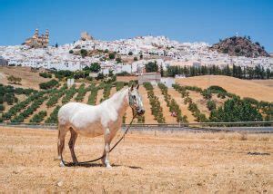 14 Days in Andalusia: The Ultimate Andalusia Road Trip Itinerary