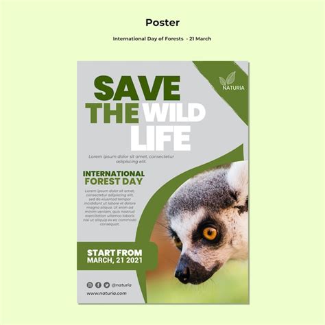 Free PSD | International forest day poster