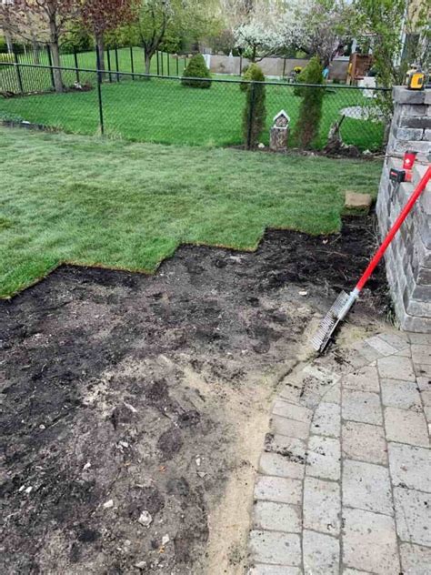 Sod Prices Near Me in Ontario | Cost of Sod | ⭐️ Over 100+ Projects!