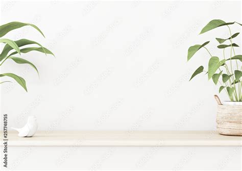 Interior wall mockup with wooden table and green home plants in basket standing on empty white ...