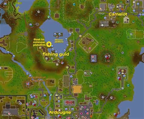 OSRS Minnows Fishing Guide: XP & GP Per Hour