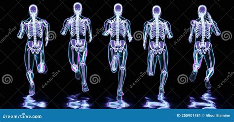 Skeleton System of Running Man, Bone Anatomy while Run, Running Man, Running Human Body in ...