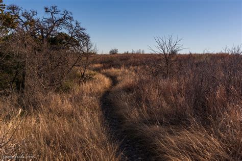 A hiking trail through the tall grass at Balcones Canyonlands National Wildlife Refuge in the ...