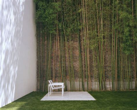 Urban Garden with Bamboo Wall Decoration - Interior Design Ideas