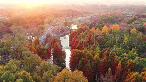 南京秋季紫金山地标航拍4K宣传片_3840X2160_高清视频素材下载(编号:6875299)_实拍视频_光厂(VJ师网) www.vjshi.com