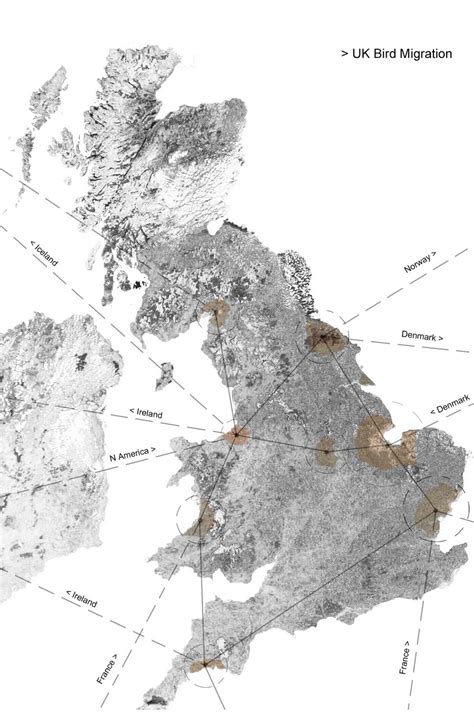 ns*design: >UK bird migration