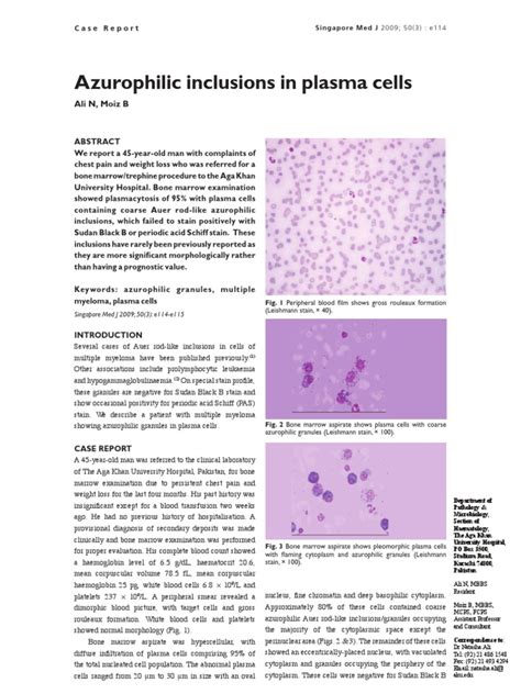 Azurophilic Inclusions in Plasma Cell | PDF | Multiple Myeloma | Bone Marrow