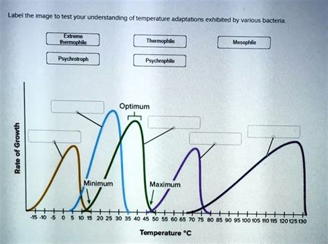 SOLVED: Label the image to test your understanding of temperature adaptations exhibited by ...