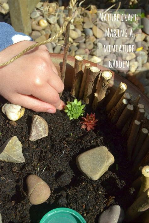 Nature craft: making a miniature garden - Growing Family