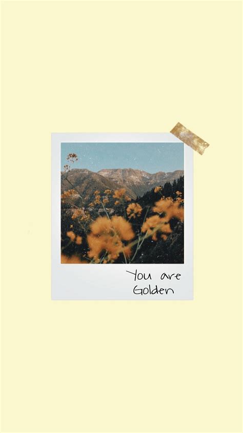 Flower Polaroid background Polaroid Display, Polaroid Frame, Aesthetic Backgrounds, Aesthetic ...