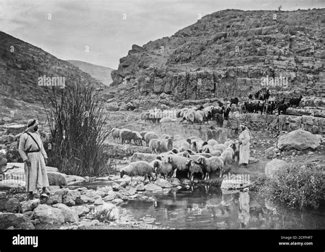 Middle east and shepherd Black and White Stock Photos & Images - Alamy