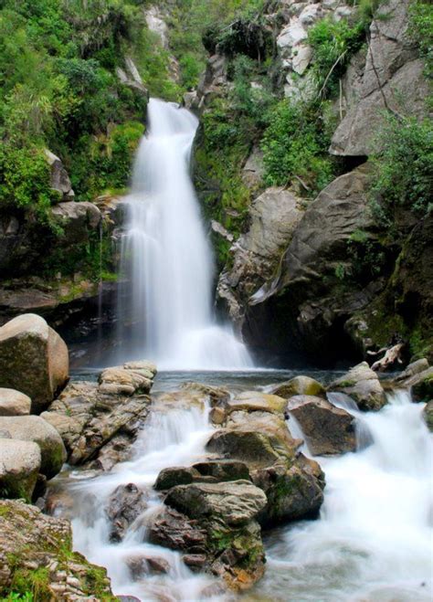 Wainui Falls - Golden Bay - New Zealand Places To Travel, Places To Visit, Travel Destinations ...