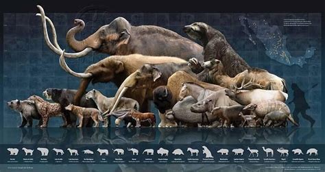 Megafauna de México a finales del Pleustoceno (Mexican Megafauna at the end of the Pleistocene ...