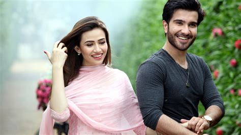 Feroze Khan and Sana Javed starrer Khaani to go on-air in November ...