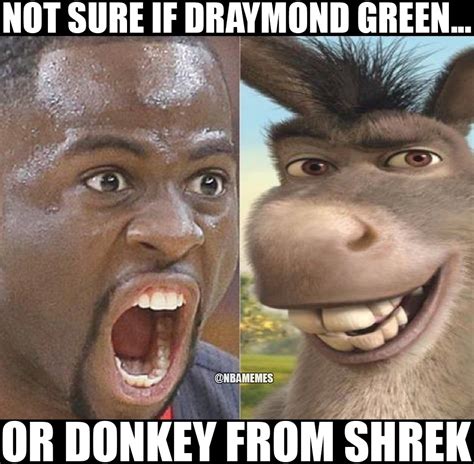 Donkey Staring Meme Shrek