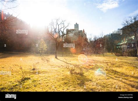 Meadow with sunlight near Bran Castle, Romania Stock Photo - Alamy