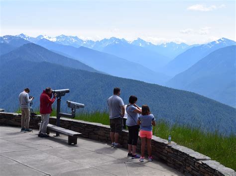 Hurricane Ridge in Olympic National Park | Olympic Hiking Co.