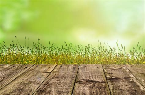 Wooden Floor With Green Background Free Stock Photo - Public Domain Pictures