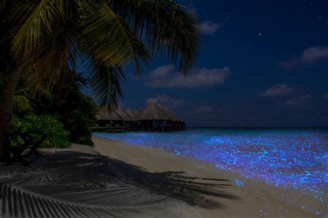 Did You Know That Karnataka Has A Mysterious Beach That Sparkles At Night? | WhatsHot Bangalore