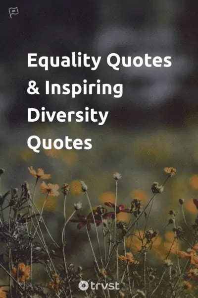 100 Equality Quotes to Inspire Diversity & Inclusion