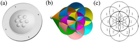 (a) Arrangement of seven ommatidia. The ommatidia are set on a ...