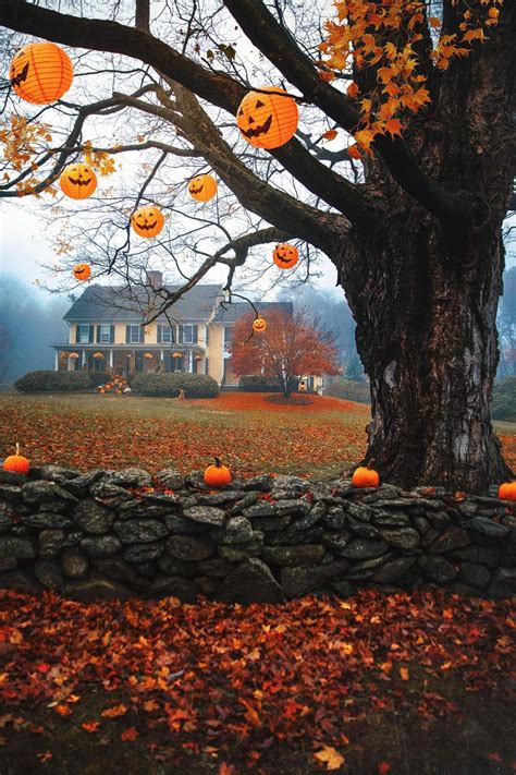 Get Spooky With Your Halloween Fall Photos In 2023 – Hovk.org