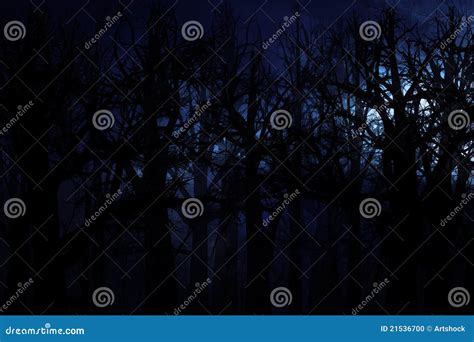 Midnight forest stock illustration. Illustration of stormclouds - 21536700