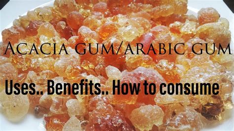 Arabicgum /Acacia Gum/Gum arabic/Indiangum/uses and benefits/how to in ...