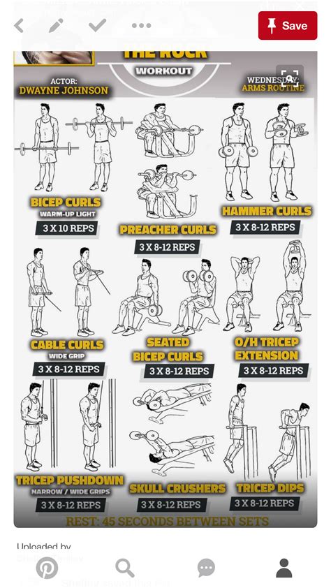 Pin by Shelley on Workout 1 2017 | Bicep and tricep workout, Arm ...