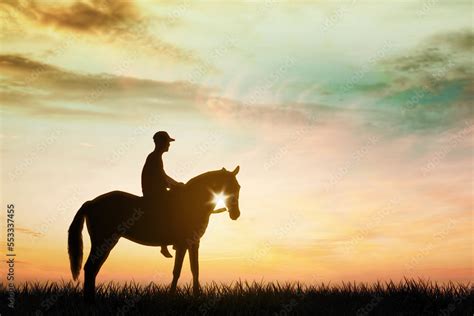 Silhouette of young man riding a horse on meadow Stock Photo | Adobe Stock